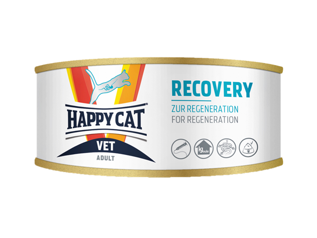 VET Recovery Консерва для кошек для набора веса и регенерации - фото 6078