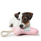 Игрушка для собак Salima Bone, розовая 18 см - фото 6267