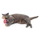 Игрушка для кошек Моа двойной мяч - фото 6277