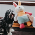 Toy Dog Muli Rabbit 18 cm игрушка для собак - фото 6508