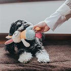Toy Dog Muli Rabbit 18 cm игрушка для собак - фото 6509