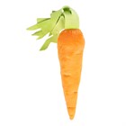 FPS6 Игрушка для животных "Морковка" - фото 6732