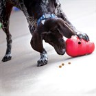 47522 Dog toy KONG® Wobbler™ 19 cm, Игрушка для собак - фото 6848