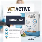 Platinum Vetactive Light для собак с избыточчным весом -  Домашняя птица и рис - фото 6918