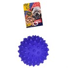 Игрушка для животных "Мяч игольчатый" FPP15 - фото 8161